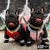 CAMPERA UNIV ROSA - Wow! Boutique de Mascotas