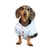BUZO ALICE - Wow! Boutique de Mascotas