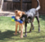 KONG SQUEEZZ BONE LARGE en internet