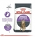 ROYAL CANIN GATO APPETITE CONTROL - Vto 12/02/2025 - comprar online