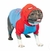 BUZO SPIDY - comprar online