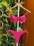 Biquini Yasmin - comprar online