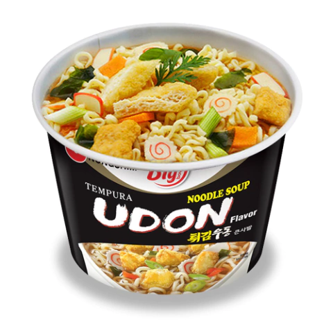 LAMEN UDON TEMPURA COPAO