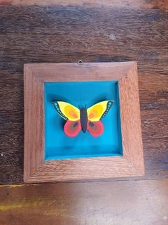 KIT 5 QUADRINHOS BORBOLETA 17X17CM OPÇÃO 1 - Porão da Arte - Lécio e Alcinéia