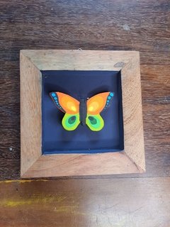 KIT 5 QUADRINHOS BORBOLETA 17X17CM OPÇÃO 1 - loja online