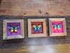 KIT 3 QUADRINHOS BORBOLETA 17X17CM ROSA