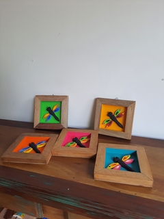 Kit 5 Quadros de Libélulas 17x17cm - loja online
