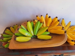 Penca de Banana Amarela em Madeira - loja online