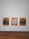 Kit 3 Quadros Flores Coloridase Brancas 20x25 cm