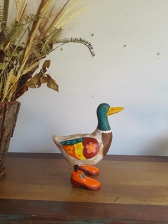 Pato em Madeira Pata de Sapato Verde na internet