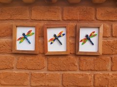 Kit Trio de Quadros Libélulas - comprar online