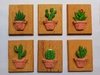 Kit 6 Quadros Cacto e Suculenta 