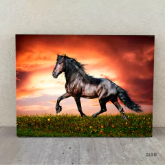 Caballos 10 - comprar online