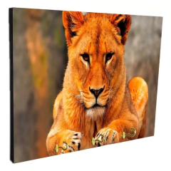 Portallaves de pared Leones 104