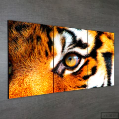 Tríptico simple Tigres 104 - comprar online