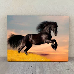 Caballos 11 - comprar online