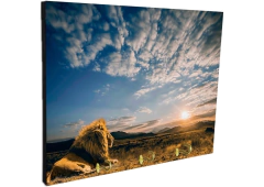 Portallaves de pared Leones 113 - comprar online