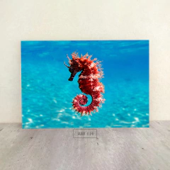 Animales Varios 114 - comprar online