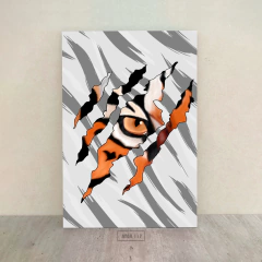 Tigres 117 en internet