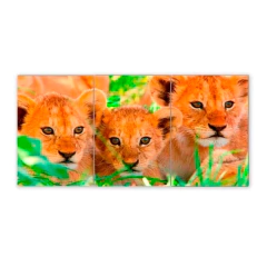 Tríptico simple Leones 118