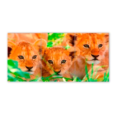 Tríptico simple Leones 118