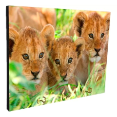 Portallaves de pared Leones 118