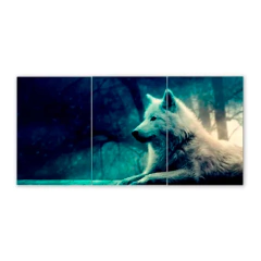 Tríptico simple Lobos 12