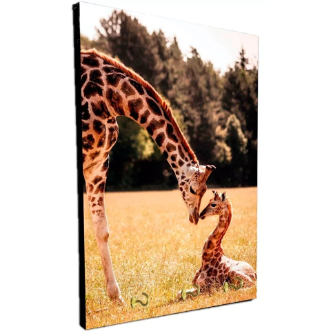 Portallaves de pared Jirafas 12