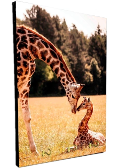 Portallaves de pared Jirafas 12 - comprar online