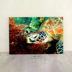 Animales Varios 122 - comprar online