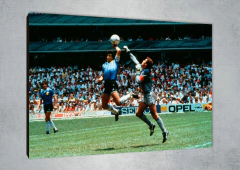 Diego Maradona 1 en internet