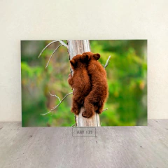 Animales Varios 132 - comprar online