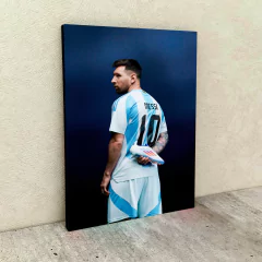 Copa América 2024 13 en internet