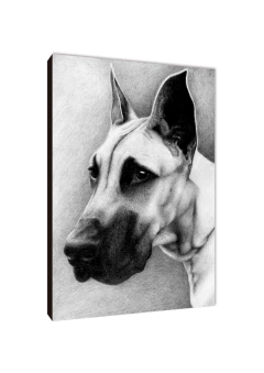 Perros 134 - comprar online