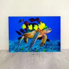 Animales Varios 134 - comprar online