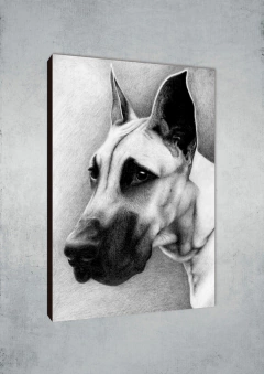 Perros 134 - MetaXroma