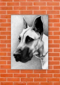 Perros 134 - tienda online