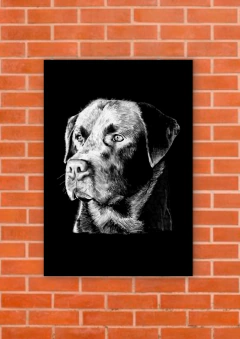 Perros 135 - tienda online