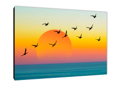 Pájaros 138 - comprar online