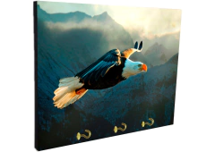 Portallaves de pared Pájaros 14 - comprar online