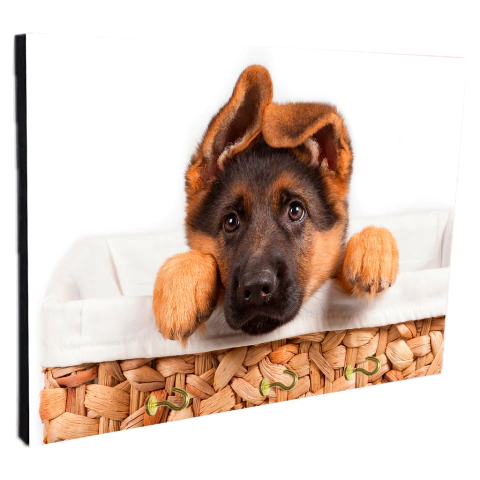 Portallaves de pared Perros 14