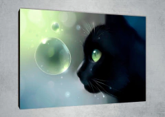 Gatos 143 - MetaXroma