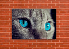 Gatos 144 - tienda online