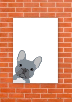 Perros 145 - tienda online