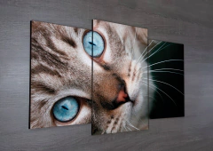 Tríptico escalonado Gatos 147 en internet