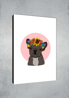 Perros 147 - MetaXroma