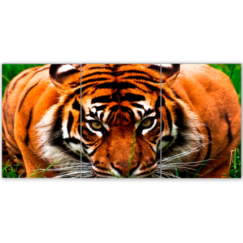 Tríptico simple Tigres 151