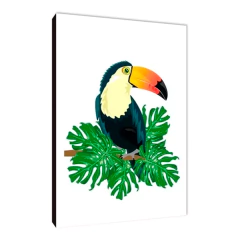 Pájaros 152