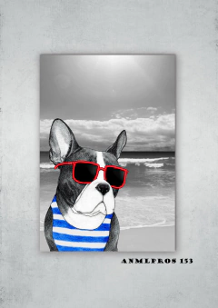 Perros 153 en internet