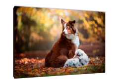 Perros 154 - comprar online